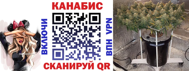 купить закладку Спасск-Рязанский МАРИХУАНА сатива